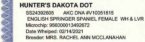 Dakota English Springer Spaniels pedigree