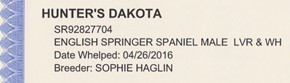 Dakota English Springer Spaniels pedigree