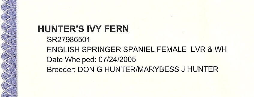 Fern English Springer Spaniels pedigreeS