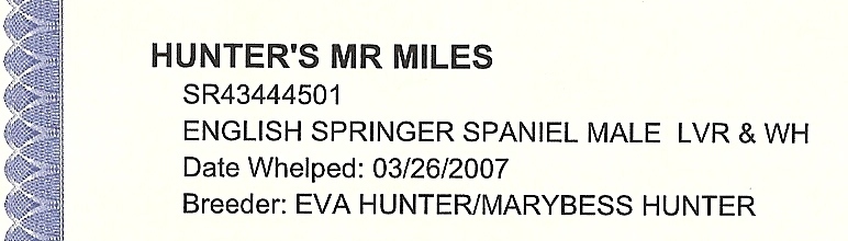 Miles English Springer Spaniels pedigree