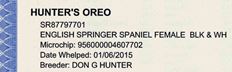 Oreo English Springer Spaniels pedigree