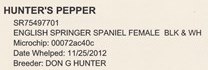 Pepper English Springer Spaniels pedigree