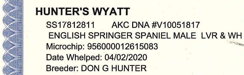 Wyatt English Springer Spaniels pedigree
